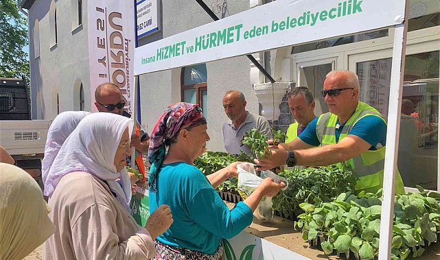 Ordu'da 200 bin fide toprakla buluşturuldu