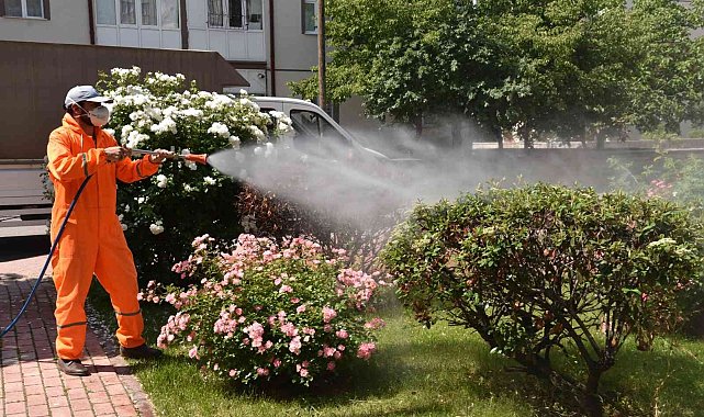 Selçuklu'da haşerelere karşı ilaçlama çalışmaları sürüyor