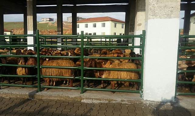 Siirt'te kurban satış ve kesim yerleri belirlendi