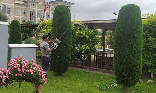 Sincan'da yeşil sanat