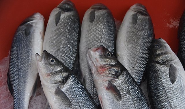Sinop'ta balık tezgahlarında son durum