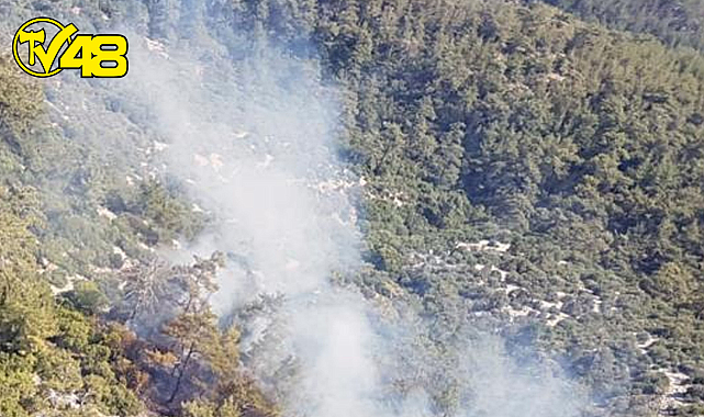 Sondakika! Milas'ta Orman Yangını !
