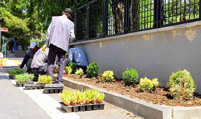 Yenişehir'de park ve bahçelerde bakım