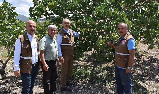 'Menengiçten Antep Fıstığına Giden Yol' Selendi'den geçiyor