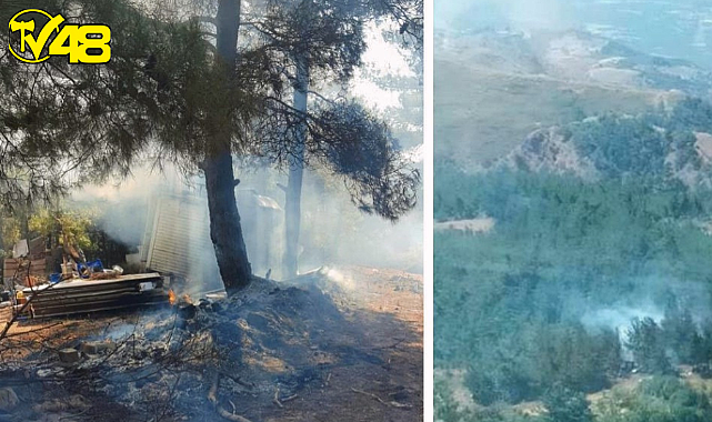 Manisa'da orman yangını