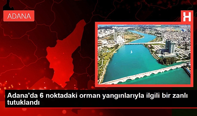 Adana'da 6 noktadaki orman yangınlarıyla ilgili bir zanlı tutuklandı