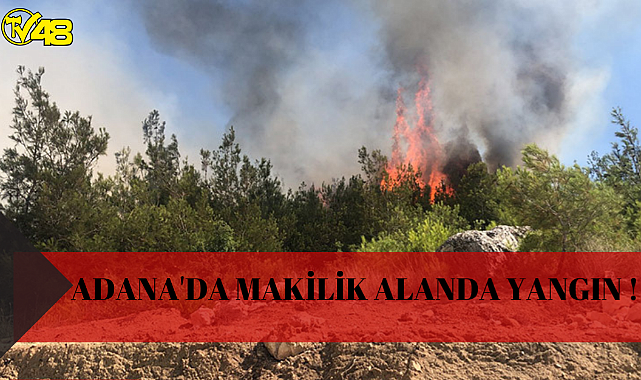 Adana'da Makilik Alanda Yangın