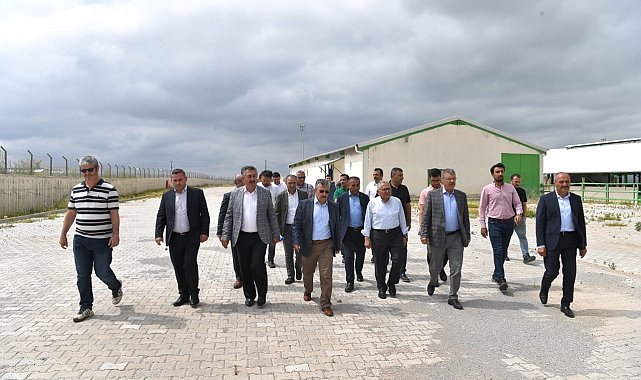 Başkan Büyükkılıç'tan Felahiye'de hayvancılığa yeni hamle