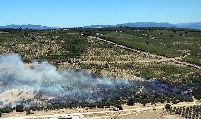 Bergama'daki Yangın ağaçlandırma sahasına sıçradı