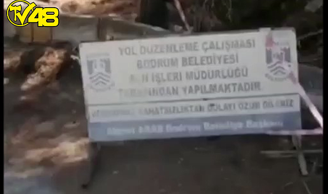 Bodrum ''Yol'' için Ağaçları Katlediyor Mu ?