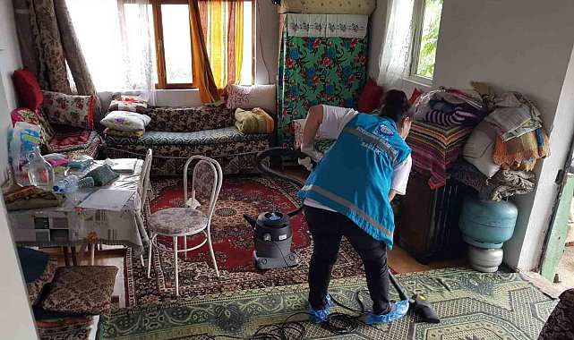 Büyükşehir Kırsaldaki Çınarlarına sahip çıkıyor