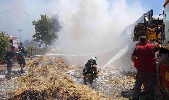 Çanakkale'de 20 ton saman küle döndü