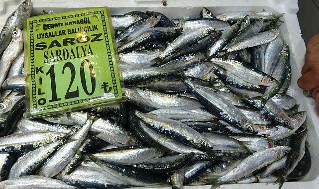 Çanakkale'de sardalyanın kilosu 120 lira oldu