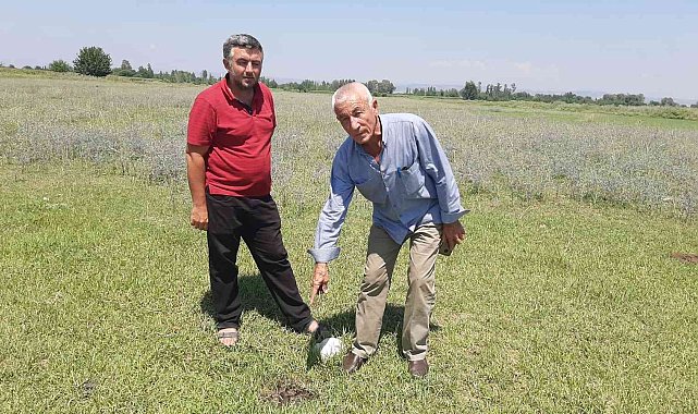 Ceyhan'daki kuyu ile aynı yıl kapatılan Kadirli'de petrol heyecanı