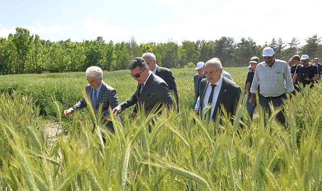 Erzurum'da 3 bin 800 svat törenle çiftçilere dağıtıldı