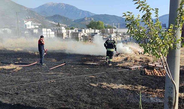 Fethiye'de anız yangını panikletti