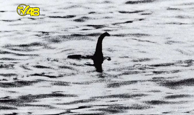 Gerçek mi efsane mi? Loch Ness Canavarı'nın sırrını ortaya çıkarabilir!