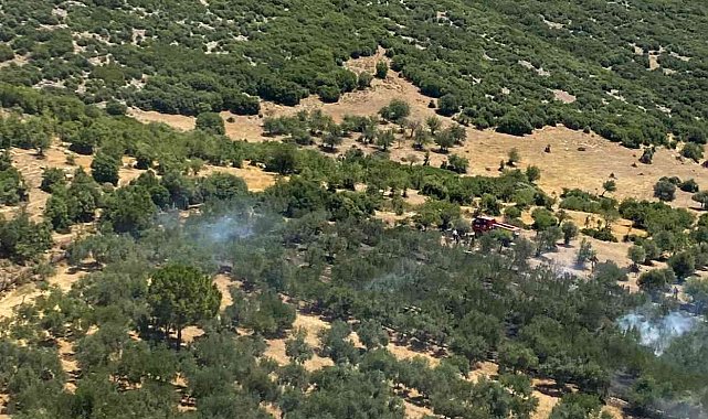 İzmir'de yangın