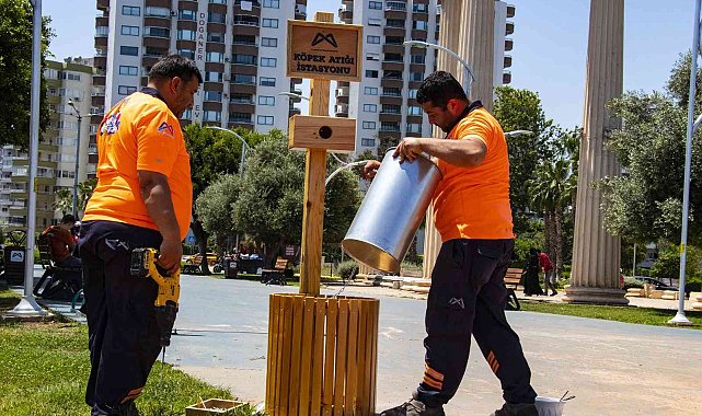 Mersin'de köpek atık istasyonu sayısı 2 kat artırıldı