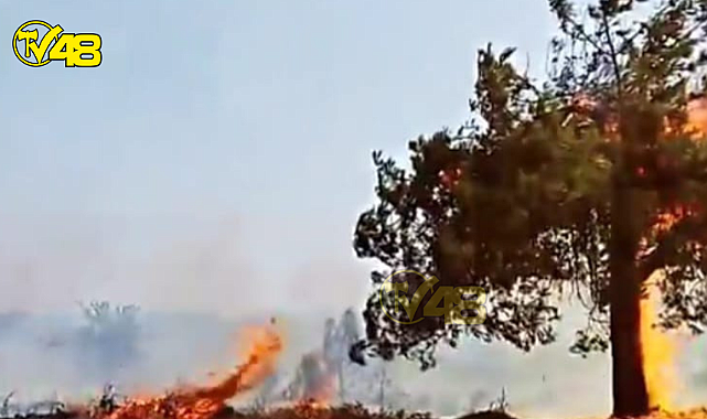 '' Milas'ta Çıkan Yangın Trafo Kaynaklı Değil ! ''