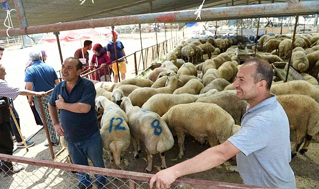 Seyhan'da "ücretsiz kurban kesim" hizmeti