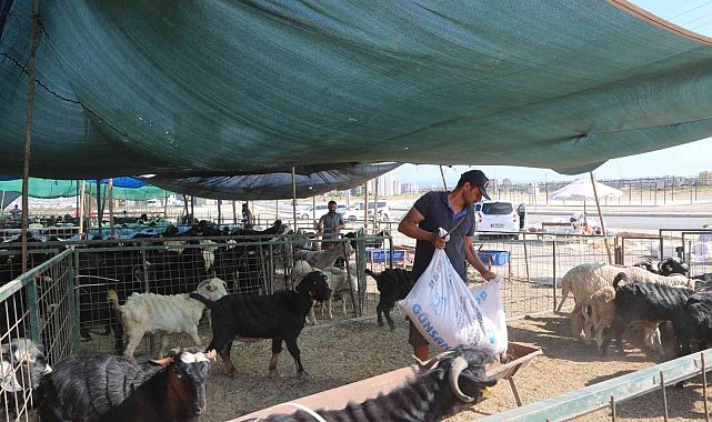Toroslar'da kurban satış ve kesim alanları hazırlandı
