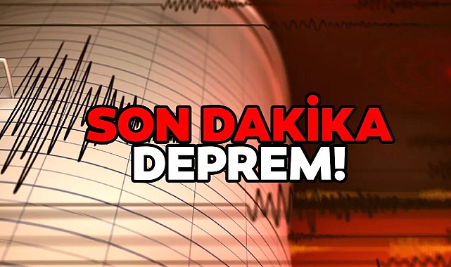 Van'da korkutan deprem...