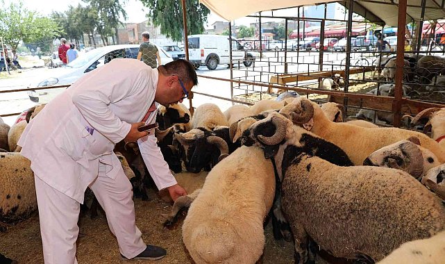 Yüreğir'de kurban satış ve kesim yerleri belirlendi