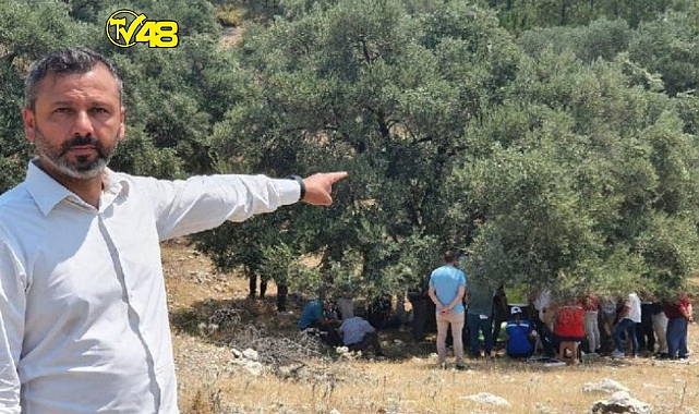 Katlettikleri Ağaçların Gölgesine Sığındılar!Akbelen'de İlginç Görüntü