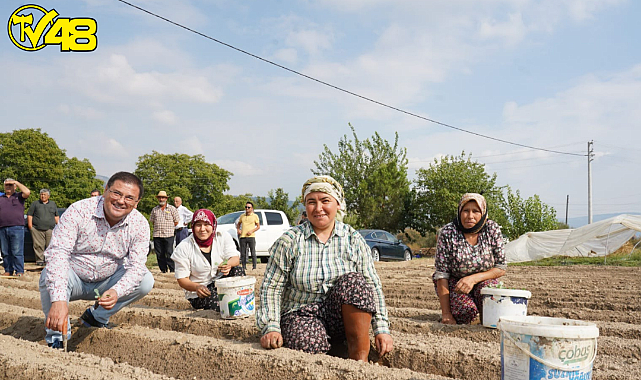 MİLAS BELEDİYESİ'NDEN ÜRETİCİLERE FİDE DESTEĞİ…