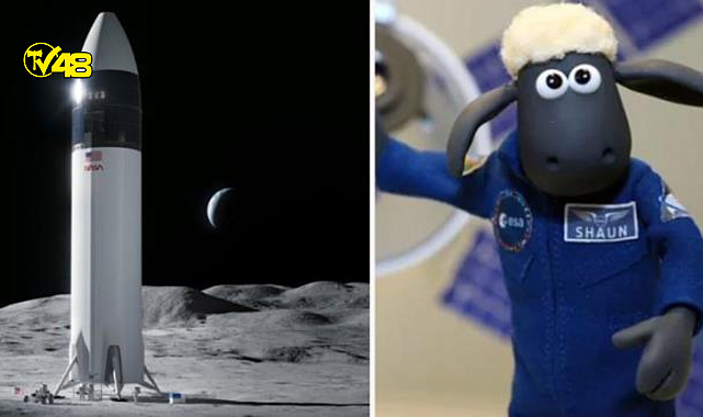NASA'dan ilginç deney!  Ay'a oyuncak koyun gönderiyorlar