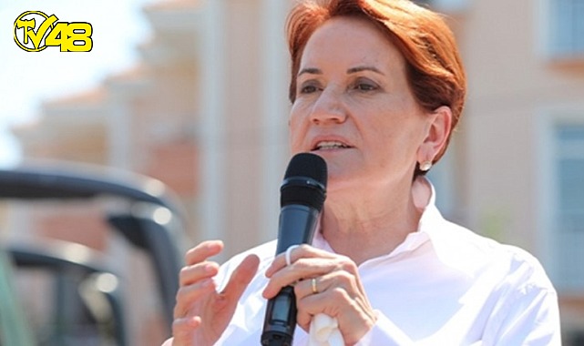 Talihsiz olay! Meral Akşener'i sokak köpeği ısırdı