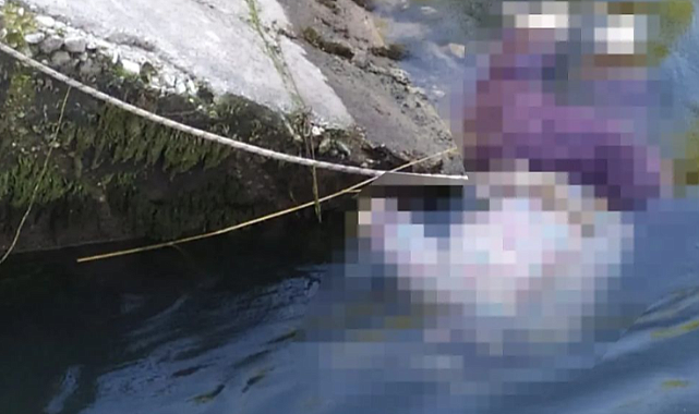 Fethiye'de Sulama Kanalında Kadın Cesedi Bulundu