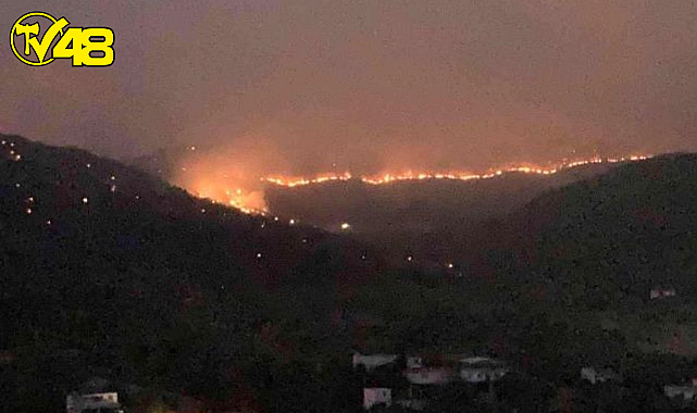 Mersin'deki Yangın Devam Ediyor! Antalya Sınırlarına yaklaştı
