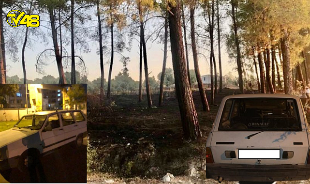 Muğla Dalaman'da Maytapla Ormanı Yaktılar
