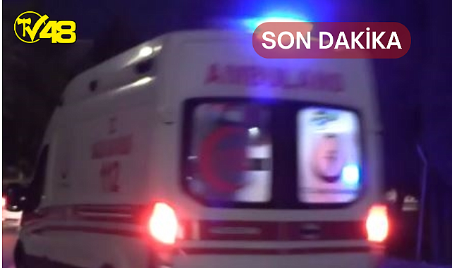 Milas'ta Bir Kişi Yol Kenarında Ölü Bulundu