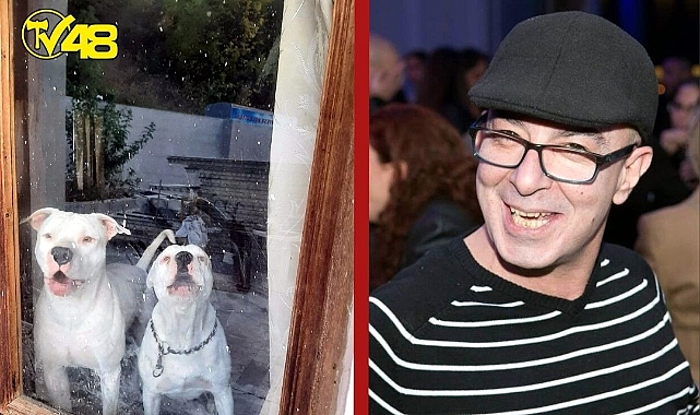 Muğla'da 6 pitbull ile korunan bağ evine uyuşturucu baskını