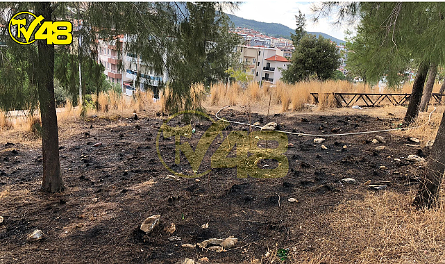 Muğla'nın Milas İlçesine Bağlı Güneş Mahallesi'nde Yangın Meydana Geldi