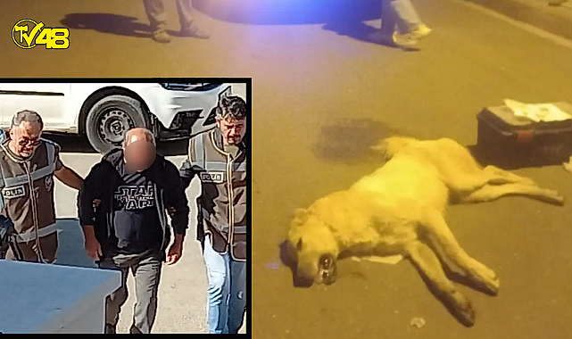 BODRUM'DA KÖPEKLERİ ZEHİRLEYEREK ÖLDÜREN ŞAHIS KISKIVRAK YAKALANDI
