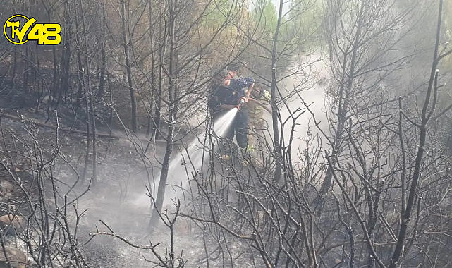 Muğla'nın Fethiye İlçesinde Orman Yangını Meydana Geldi