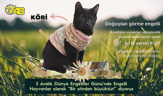 3 Aralık Dünya Engelliler Günü'nde Engelli Hayvanlar olarak "Bir sıfırdan büyüktür!" diyoruz
