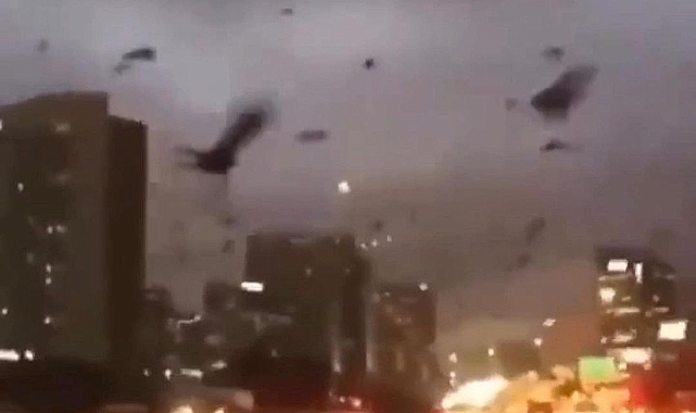 Ukrayna'nın başkenti Kiev'de kargalar gökyüzünü istila etti.
