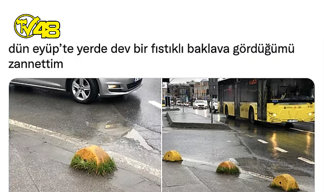 Eyüp'te Dev Baklavalardan Arabayla Kuş Gezdirmeye Çıkanlara Son 24 Saatin Twitter'da Viral Olan Paylaşımları