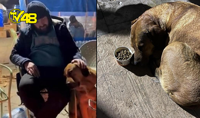 9 yaşındaki sahibini depremde kaybeden köpeğin görüntüsü yürekleri dağladı! Yemeden içmeden kesildi