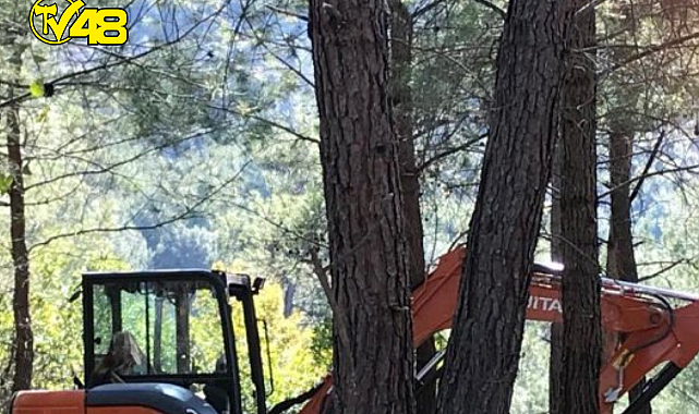 Süleyman Girgin: Marmaris'te mesire alanı yapıyoruz diye iş makinaları ormana girdi