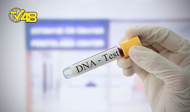 EMBRİYODA GENETİK TEST HAKKINDA MERAK ETTİĞİNİZ 7 SORU VE YANITI