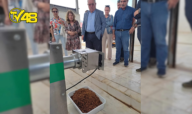"DATÇA BELEDİYESİ'NDEN SOKAK HAYVANLARI İÇİN İNOVATİF MAMA ÜRETİM PROJESİ"