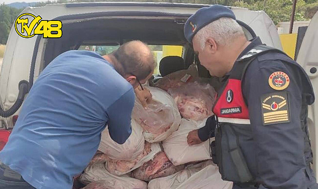 KÖYCEĞİZ'DE KAÇAK HAYVANSAL ÜRÜNLER ELE GEÇİRİLDİ!