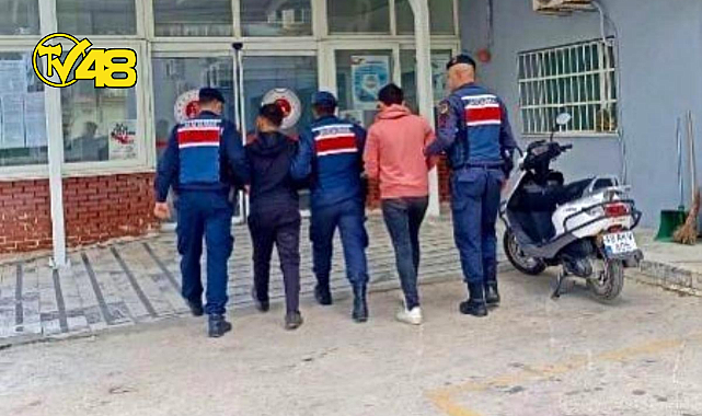 YATAĞAN'DA ZEYTİNYAĞI HIRSIZLIĞI YAPAN ŞÜPHELİLER YAKALANDI!