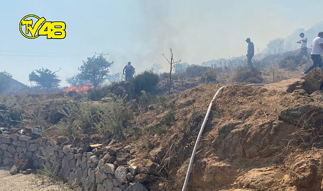 BODRUM PEKSİMET'TE ÇIKAN YANGINDA 2 HEKTARLIK ALAN ZARAR GÖRDÜ